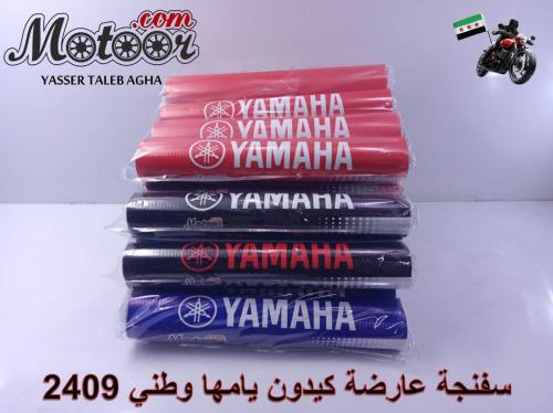 سفنجة عارضة يامها وطني