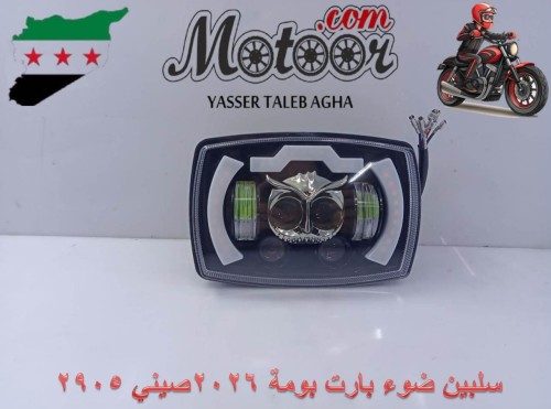 سلبين ضوء بارت بومة 2026 صيني